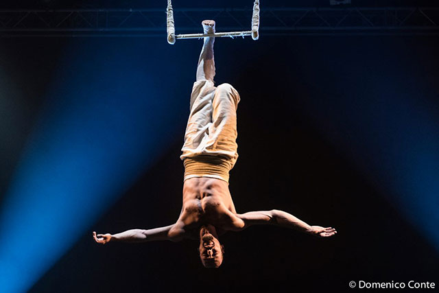 TRAPEZE & CREATIVE EXPLORATION FOR AERIAL PERFORMERS